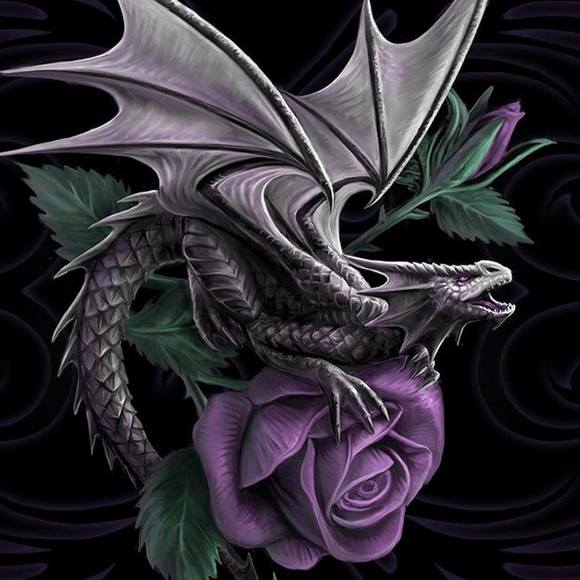 Meet your Posher, Lisa - Picture 2 of 2